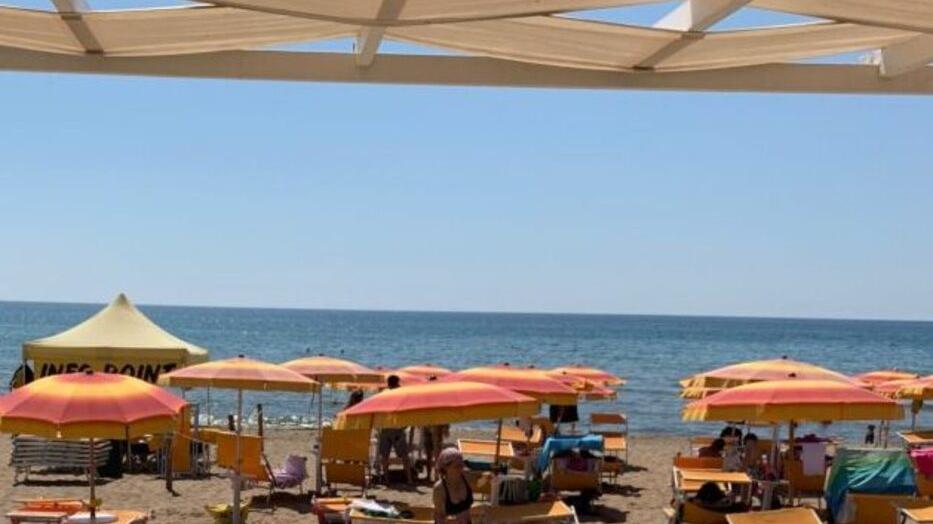Spiaggia per cani, si torna al passato: via libera al noleggio di ombrelloni