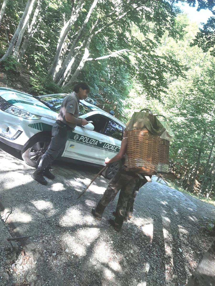 
	Un agente della Polizia Provinciale controlla un appassionato di raccolta di frutti del sottobosco


