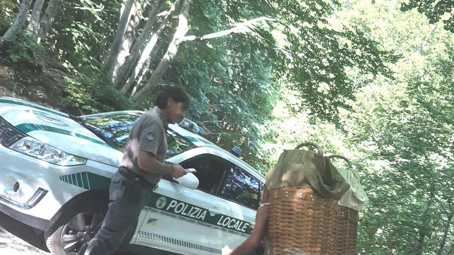 Un agente della Polizia Provinciale controlla un appassionato di raccolta di frutti del sottobosco