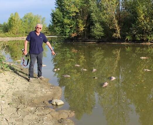 Daniele Manetti sulla sponda della Laghina piena di pesci mortI