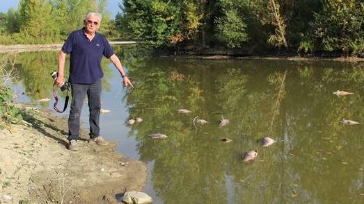 Daniele Manetti sulla sponda della Laghina piena di pesci mortI