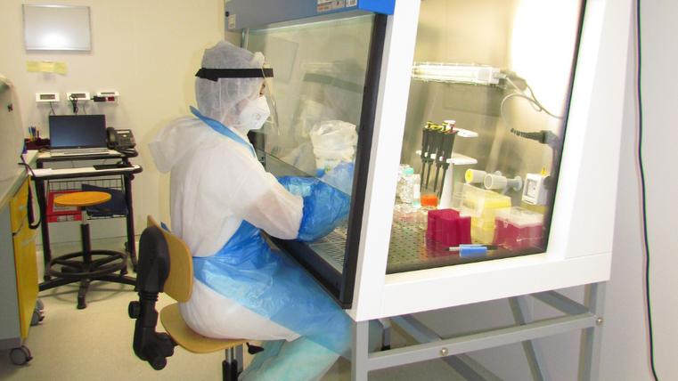 Coronavirus, quattro decessi e 448 positivi nel Ferrarese