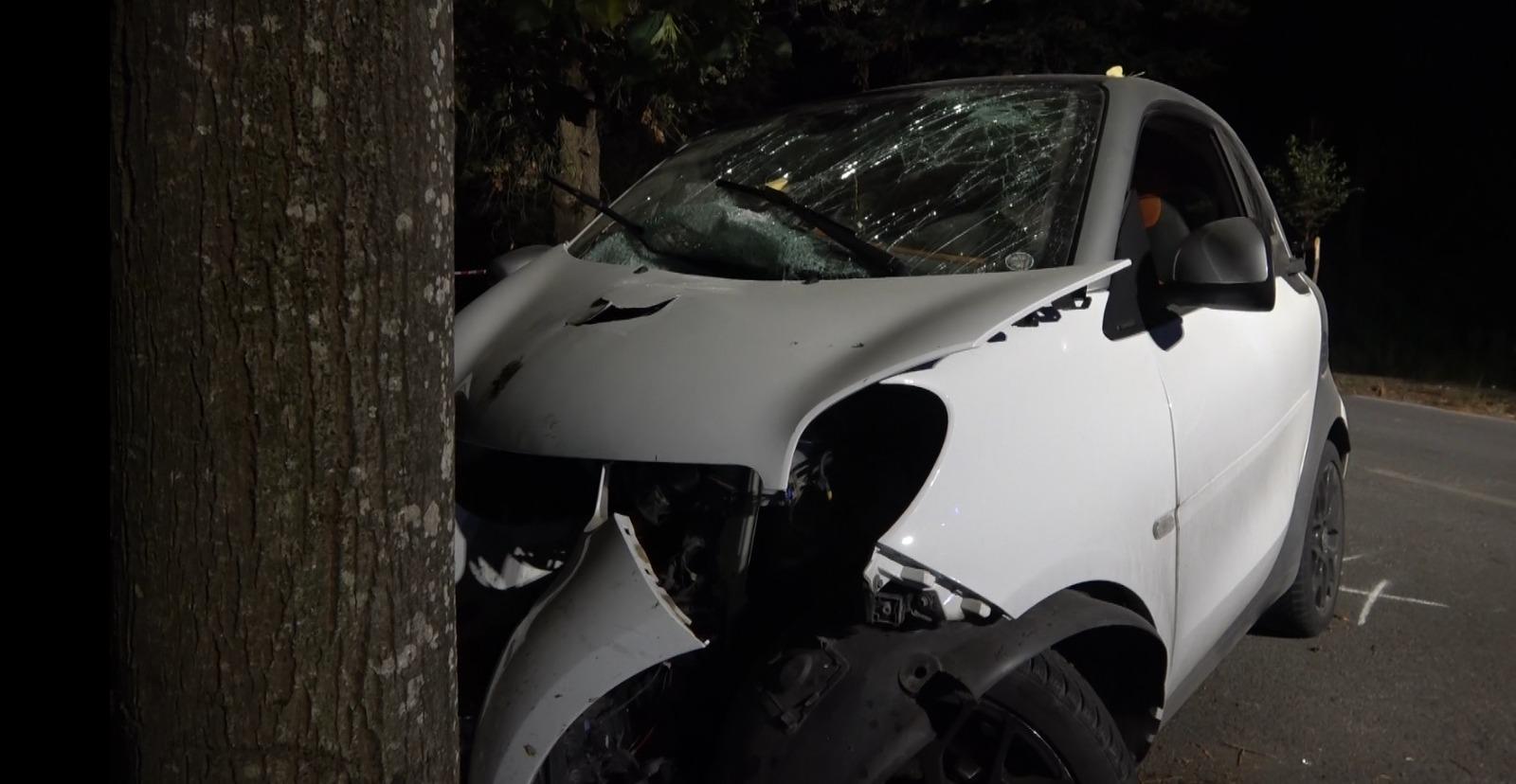 Tragedia sul viale dei Tigli, il presidente del Parco: «I cinghiali in Pineta sono troppi, problema che va risolto» 