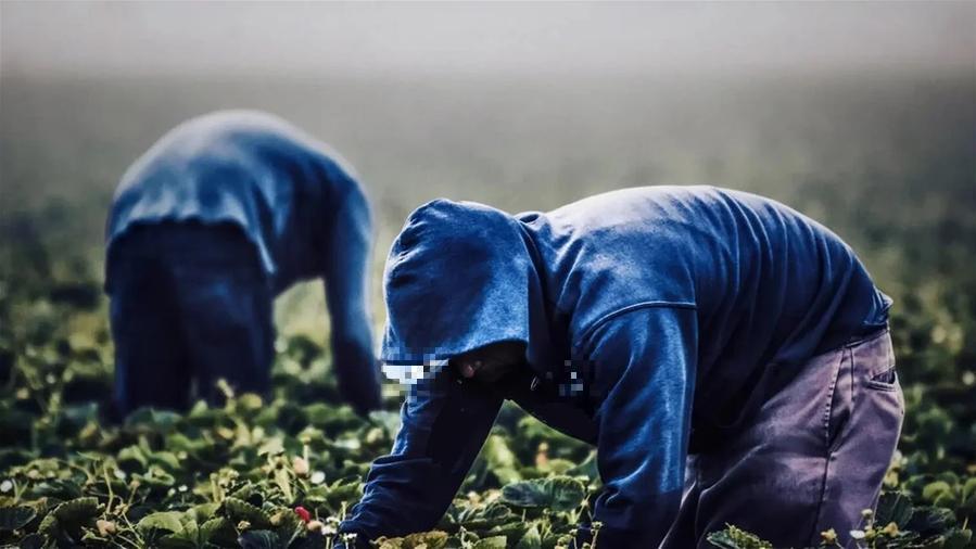 In Italia sono sfruttati e senza tutele oltre tre milioni di lavoratori