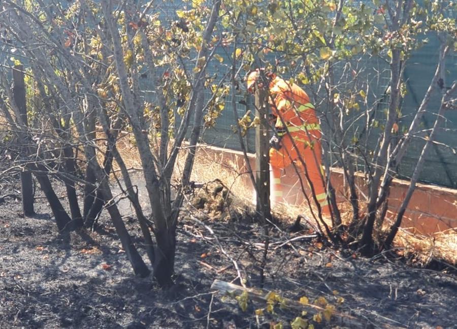 L’esercito dei 40 angeli cecinesi dell’antincendio: così tengono al sicuro il territorio dalle fiamme