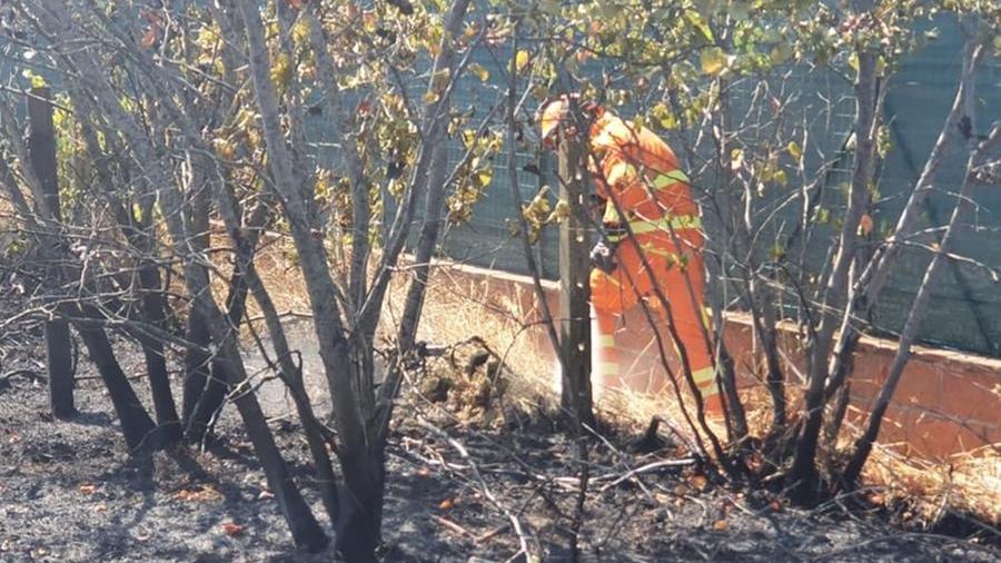 L’esercito dei 40 angeli cecinesi dell’antincendio: così tengono al sicuro il territorio dalle fiamme