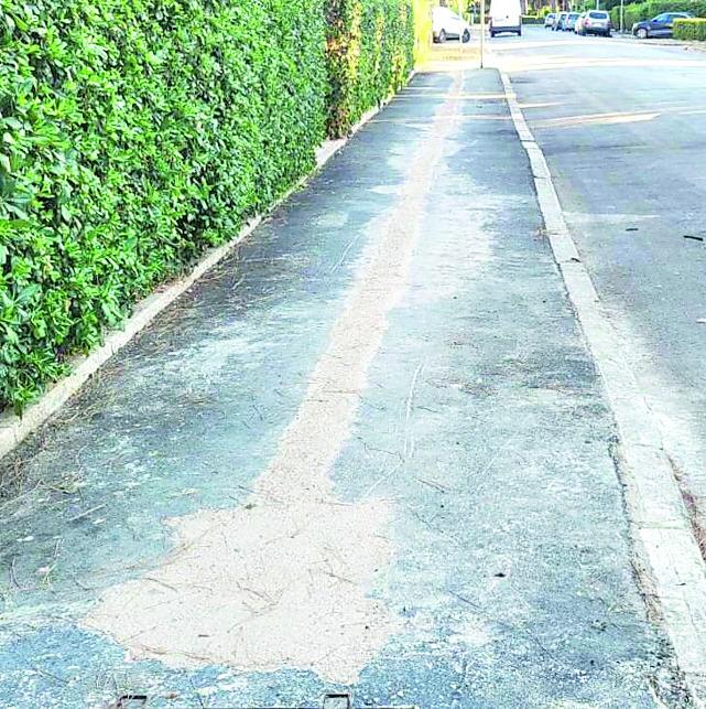 Dai giardini secchi alle maxibuche; al Verde Maremma non c’è pace

	&nbsp;
