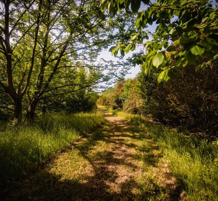 Carpi. Parco Santacroce, ora ci siamo: la Conferenza dei Servizi dà l’ok 