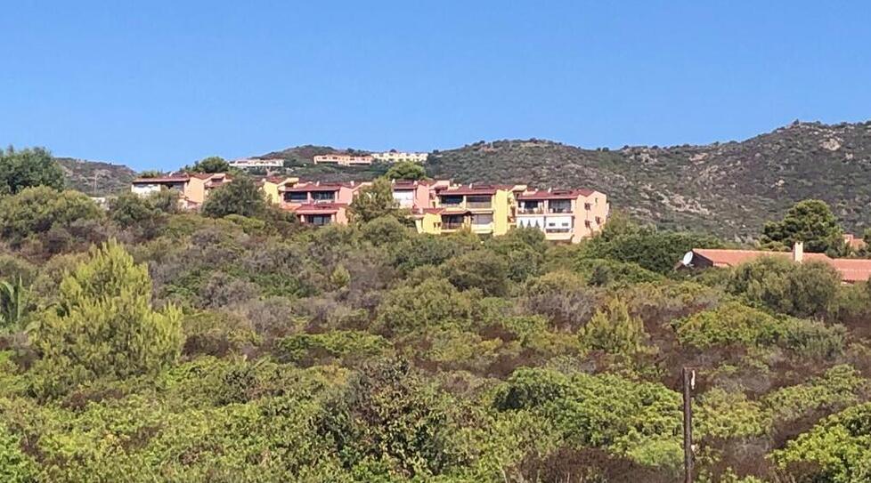 Entrano in casa mentre le persone dormono e razziano oro e soldi: tra Pittulongu e Golfo Aranci riecco i ladri notturni
