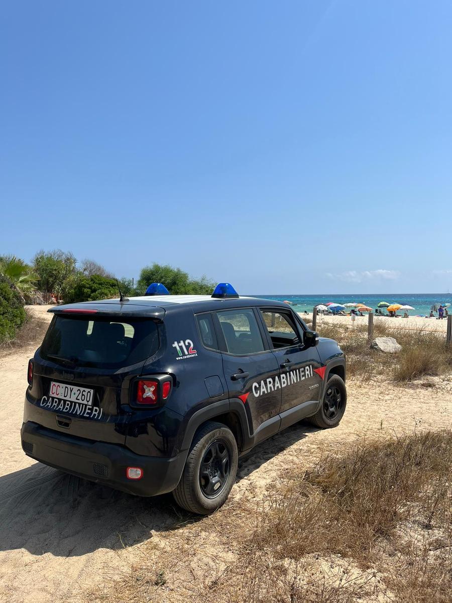 Pitbull semina il panico in una spiaggia di Villasimius, denunciata la proprietaria