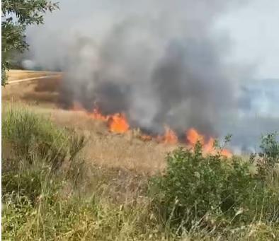 
	Le fiamme sulle colline sopra Castiglioncello&nbsp;

