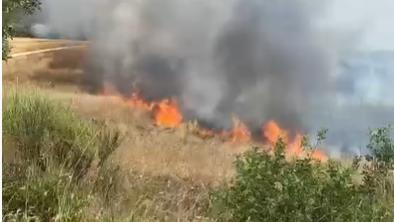 Le fiamme sulle colline sopra Castiglioncello 