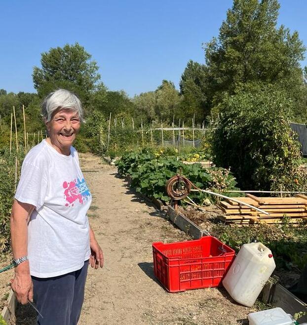Sassuolo La siccità mette in ginocchio gli orti «Tanti sacrifici andati in fumo» 