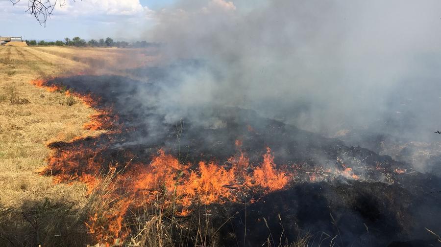 Ancora fuoco in Maremma: fiamme vicino a un podere – Video