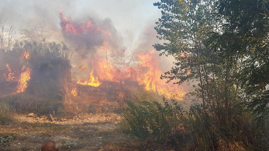 Fiamme in località Masero: attività evacuate a Licciana Nardi – Video