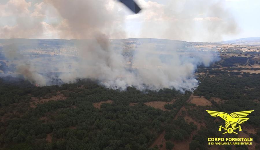 Bolotana, incendio lambisce Badde Salighes