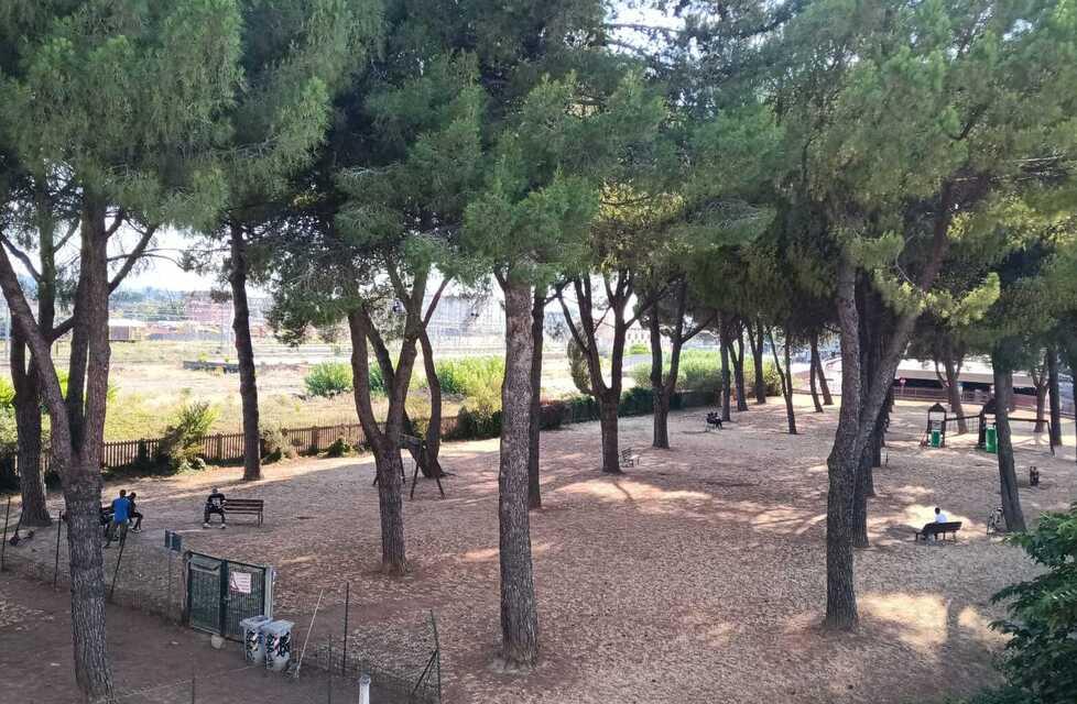 Spaccio e risse nei giardini, i negozi chiudono: «Ora basta» 