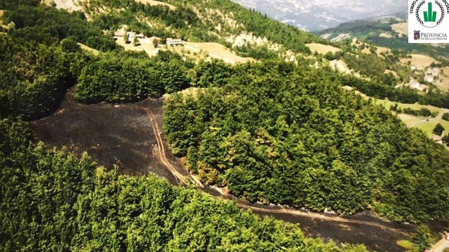 Bruciano cinque ettari di bosco a Sorba Mobilitati anche i droni