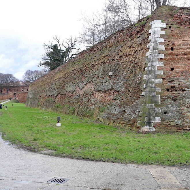 Ferrara, rifiuti abbandonati: ora spuntano anche i topi