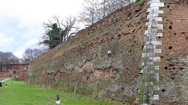 Ferrara, rifiuti abbandonati: ora spuntano anche i topi