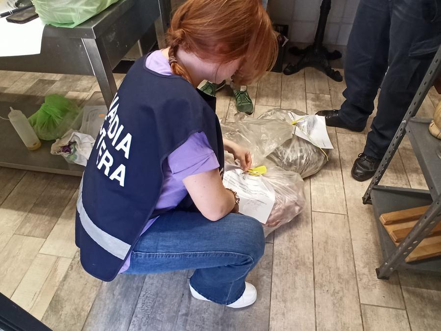Sequestro di 40 chili di cibi scaduti o malconservati: denunciato un ristoratore dell’Elba