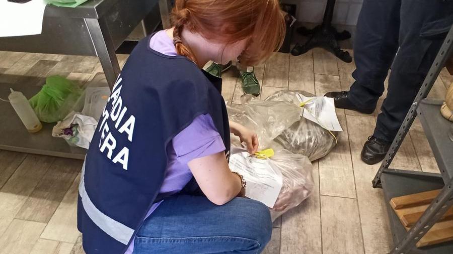 Sequestro di 40 chili di cibi scaduti o malconservati: denunciato un ristoratore dell’Elba