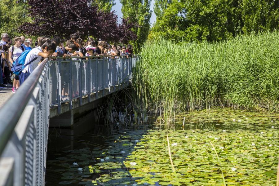 
	Volontari ambientalisti impegnati nel piantare nuovi alberi

