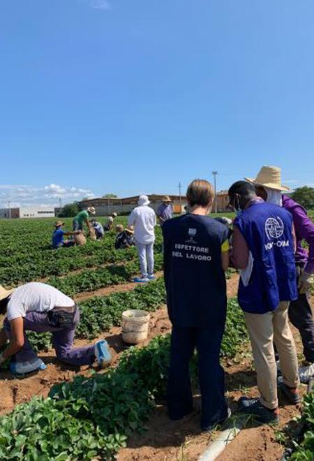 Lavoratori “in nero” nelle campagne: tre attività chiuse, quattro sanzionate
