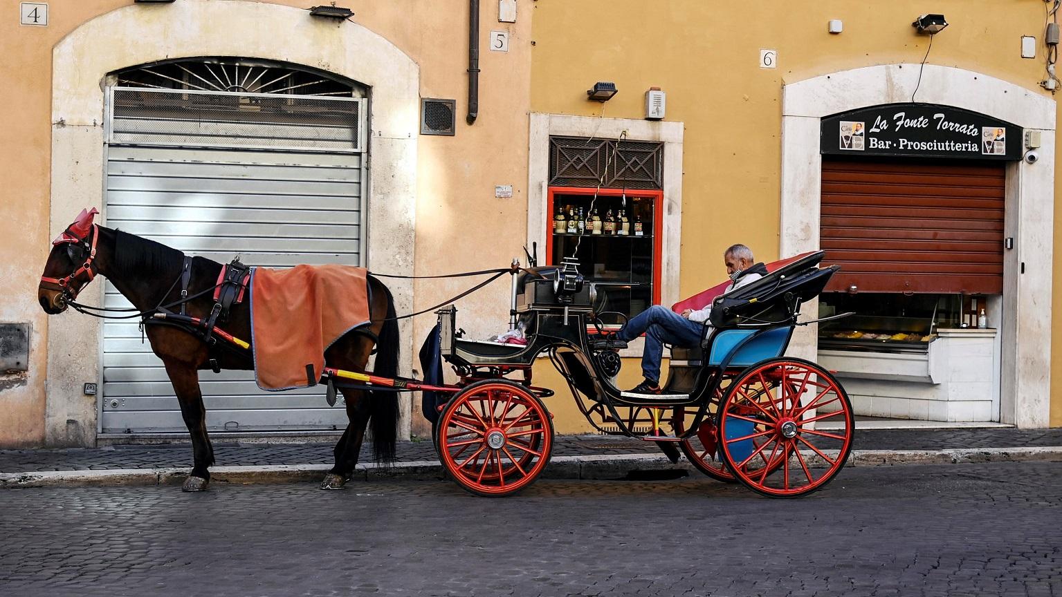 Botticelle a rischio stop, c’è il sì della Camera al divieto. La vetturina : «Pronta a incatenarmi a Roma»