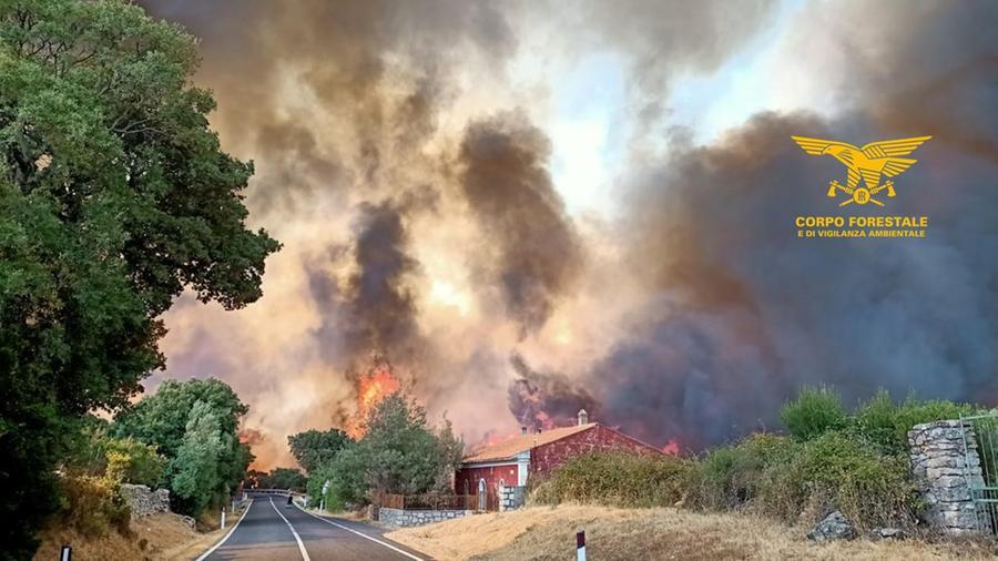 
	L'impressionante incendio di Calangianus

