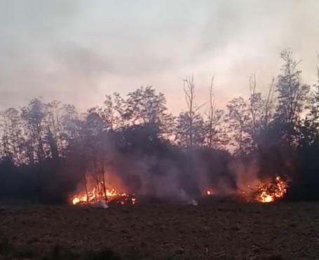 
	Incendio Altopascio&nbsp;


