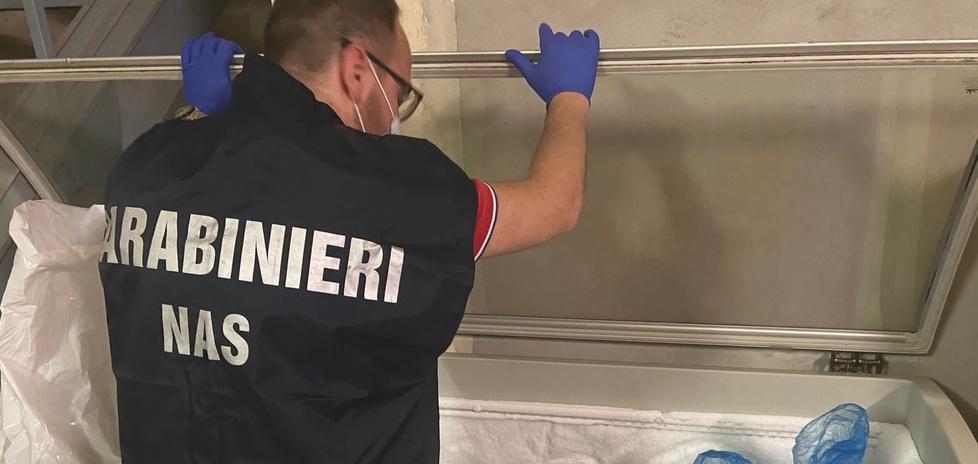 Livorno, portinaia e falsa dottoressa. L’amica che l’ha denunciata: «Così l’ho smascherata»