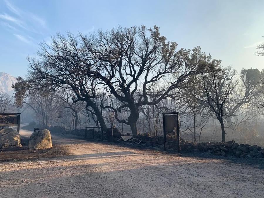 Calangianus, paesaggio spettrale dopo il passaggio dell’incendio a  Ea bona