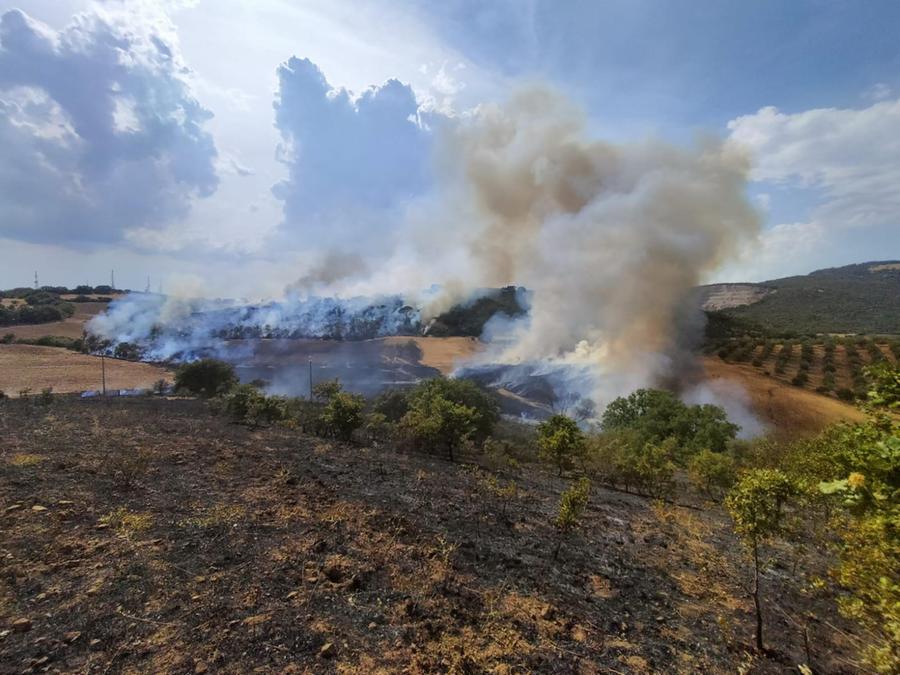 Incendio a Roselle, evacuate alcune case