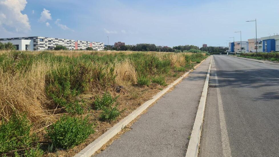 Nella foto di Daniele Stefanini una visuale dell’area tra il centro commerciale e via Primetta