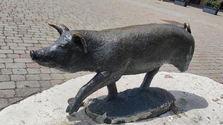 Castelnuovo Incidente in centro: il “monumento del maialino” rovesciato, amputato e “soccorso” dai cittadini