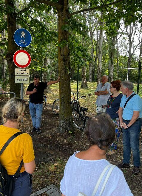 Finale Emilia Il taglio dei 687 alberi slitta 