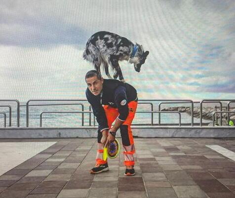 C’è il dietrofront sulla dog dance: l’esibizione sabato si farà