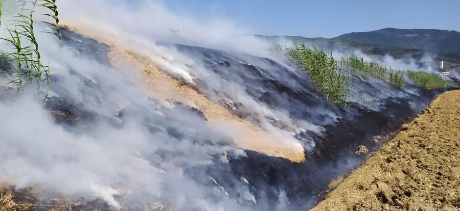
	L'incendio di via Parugiano a Montemurlo

