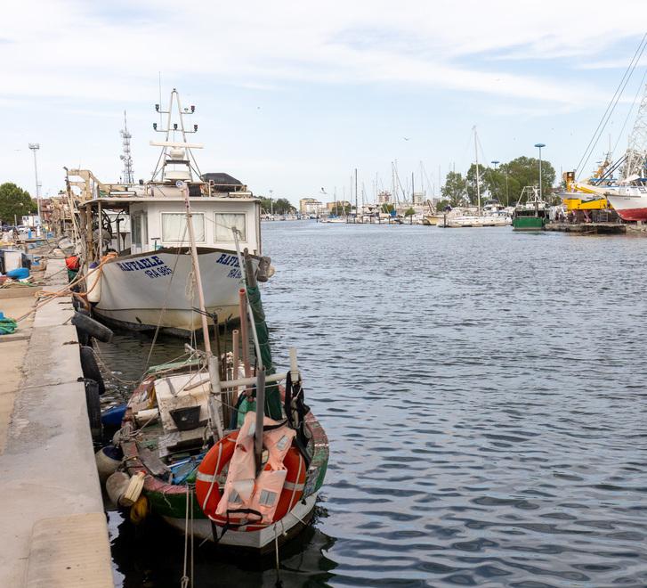 Bisognerà pagare per vendere il pesce sulla banchina  