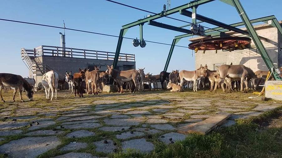 I commissari degli Usi Civici di Febbio chiedono i danni agli ex amministratori