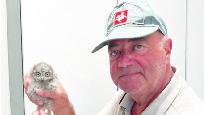 
	Sandro Pilozzi con il pullo di assiolo trovato ieri mattina a Castiglione della Pescaia

