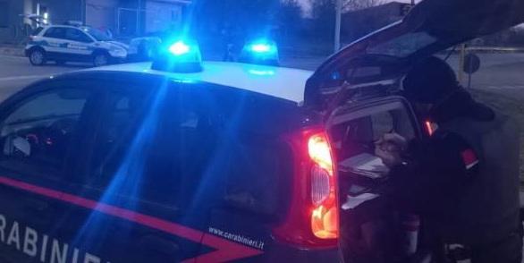 Una pattuglia dei carabinieri (Foto di repertorio)