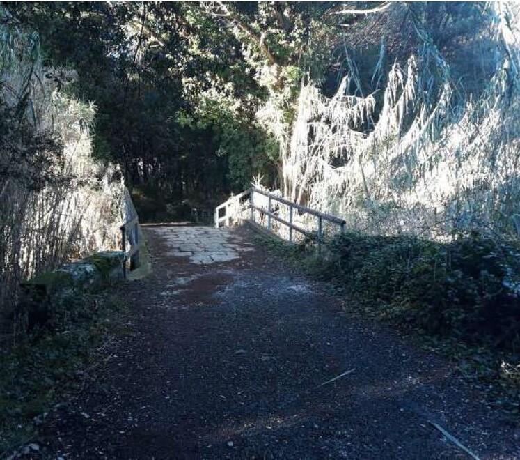 Tirrenica, il piano B non convince Bibbona: «Per noi deve passare nella pineta»