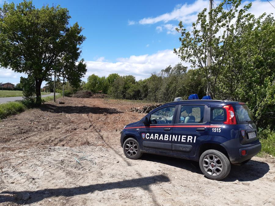 Brucia scarti vegetali e viene sanzionato