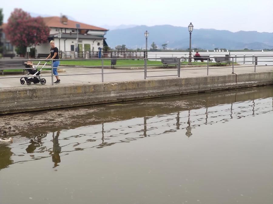 Â  Â  Da: Matteo Tuccini <m.tuccini@iltirreno.it> Inviato: sabato 16 luglio 2022 17:45A: Redazione Viareggio <viareggio@iltirreno.it>; Ricezioni <rx@iltirreno.it>Oggetto: Da archiviare lago di Massaciuccoli siccitÃ  Â  Â  Â  Da: Matteo Tuccini <matteo.tuccini@gmail.com> Inviato: sabato 16 luglio 2022 17:44A: Matteo Tuccini <m.tuccini@iltirreno.it>Oggetto: Foto da Matteo Â  Â 
