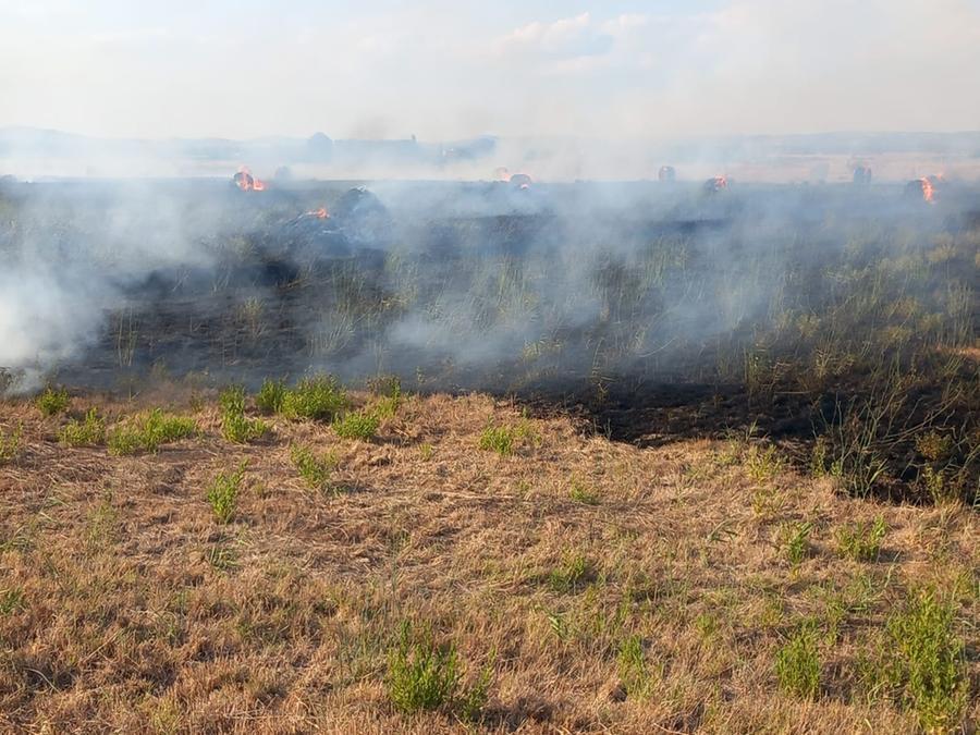 Incendio in un campo, chiuso un tratto della provinciale amiatina che porta a Magliano in Toscana