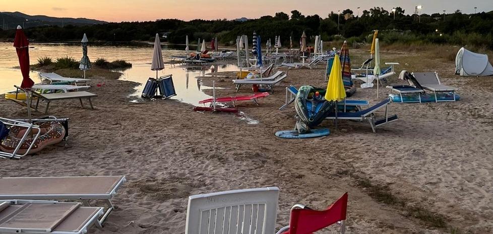 Golfo Aranci, caccia a ombrellone selvaggio 