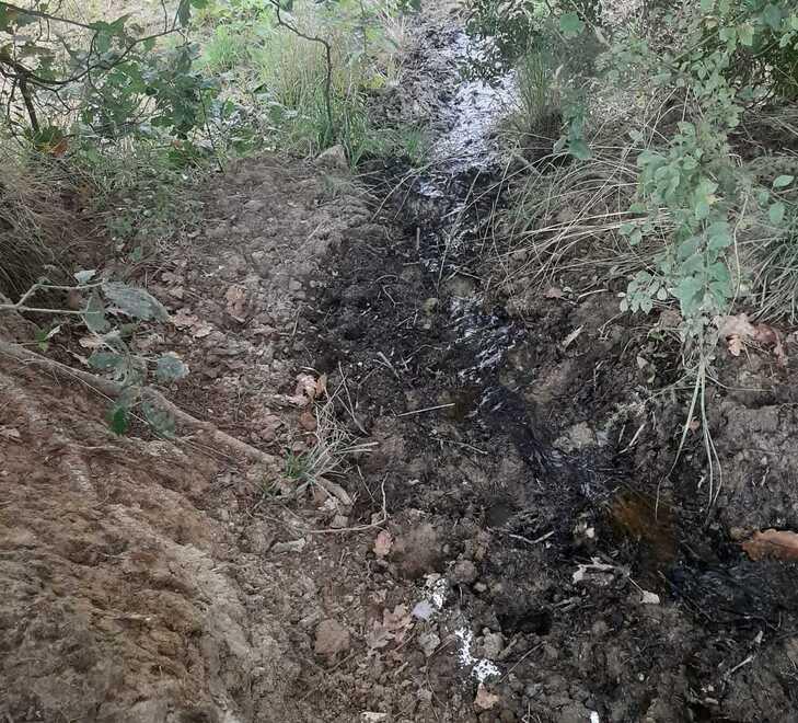 Le tubature perdono acqua da otto mesi “e nessuno risolve il problema”