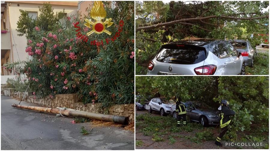 A La Maddalena un fulmine colpisce un palo, a Cannigione alberi caduti sulle auto